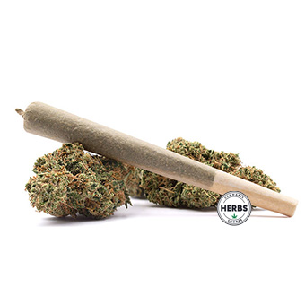 Pre-Roll